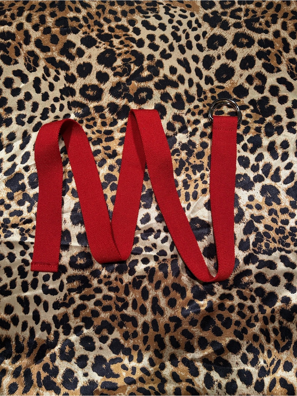 ❌SOLD❌Shein Red Canvas Web Belt with Silver Double D Ring